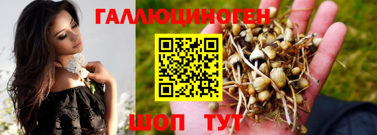 Галлюциногенные грибы MAGIC MUSHROOMS  Вход с VPN  Ярцево 